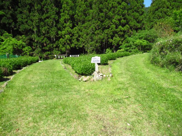 間伐道ウツノギ線起点